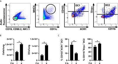 Exposure to the Gram-Negative Bacteria Pseudomonas aeruginosa Influences the Lung Dendritic Cell Population Signature by Interfering With CD103 Expression